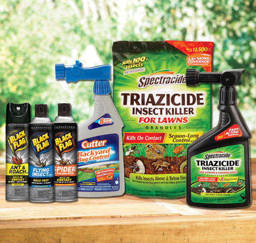 Got Bugs? We Can Help